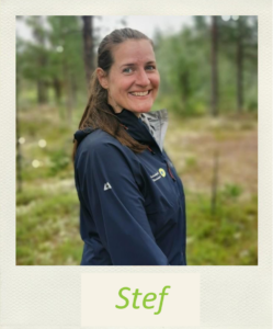 Stef